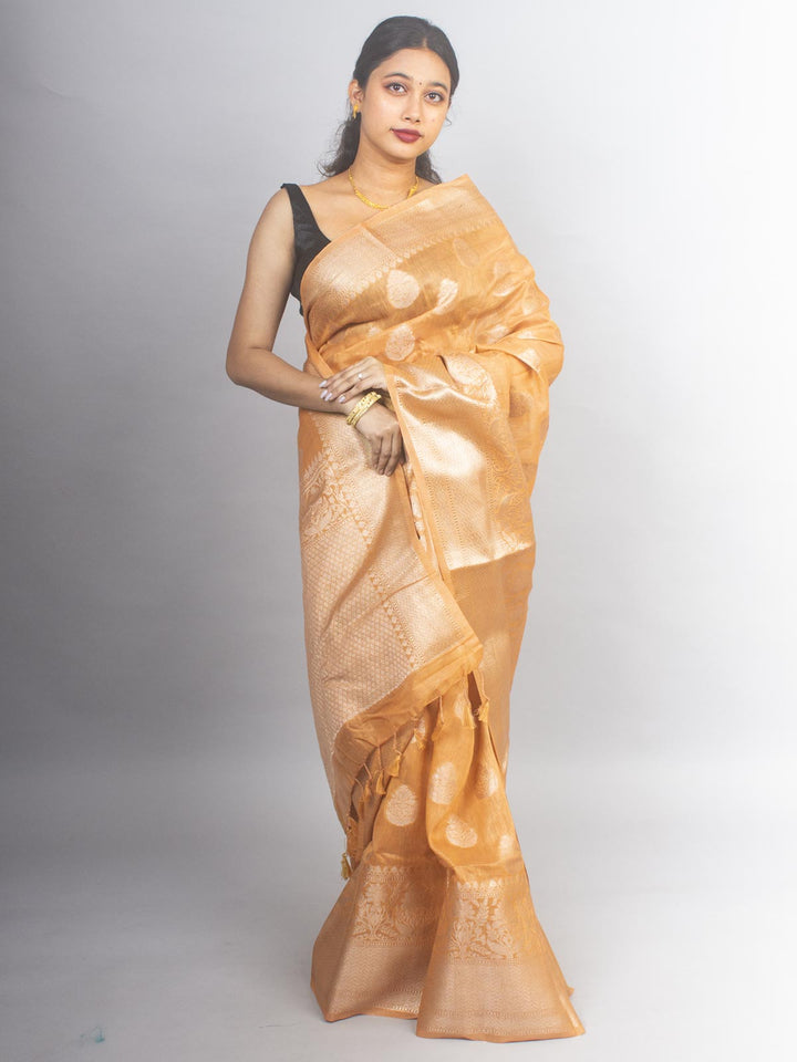 Silk Linen Banarasi Handloom Saree - 0449 Saree AEVUM