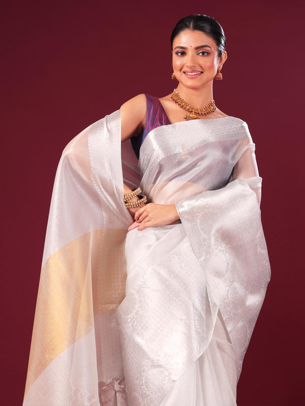 Silver Tissue Banarasi Saree - 0462 Saree AEVUM