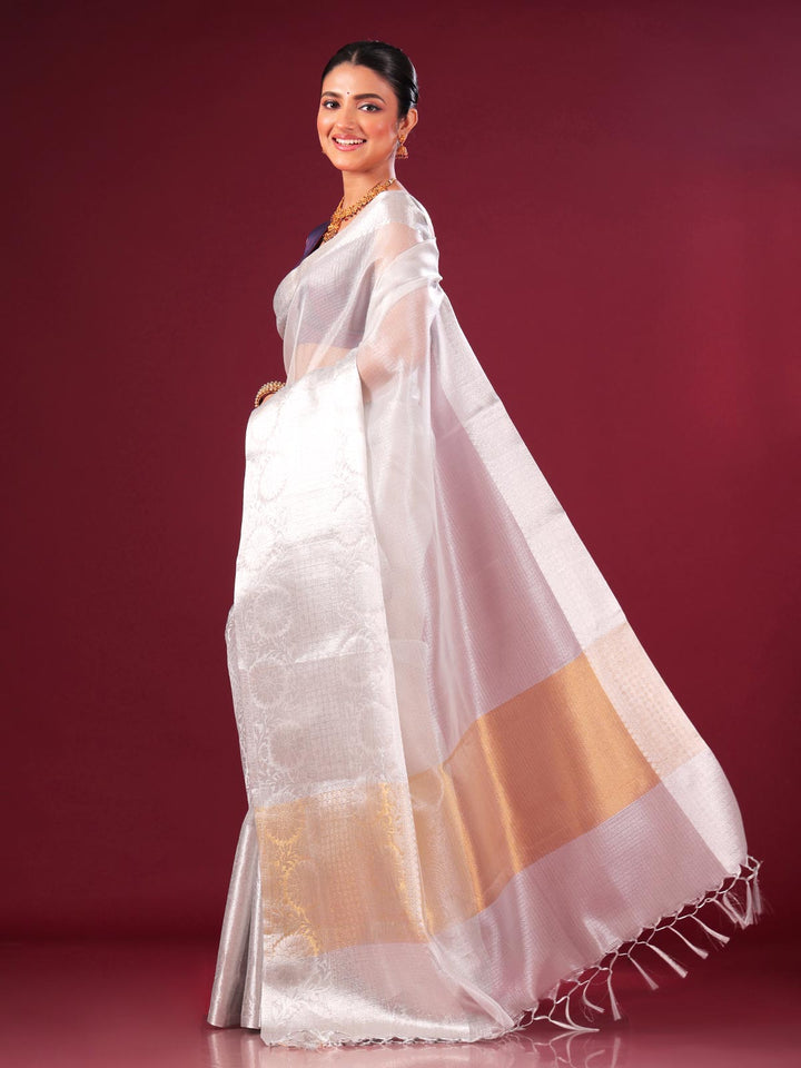 Silver Tissue Banarasi Saree - 0462 Saree AEVUM