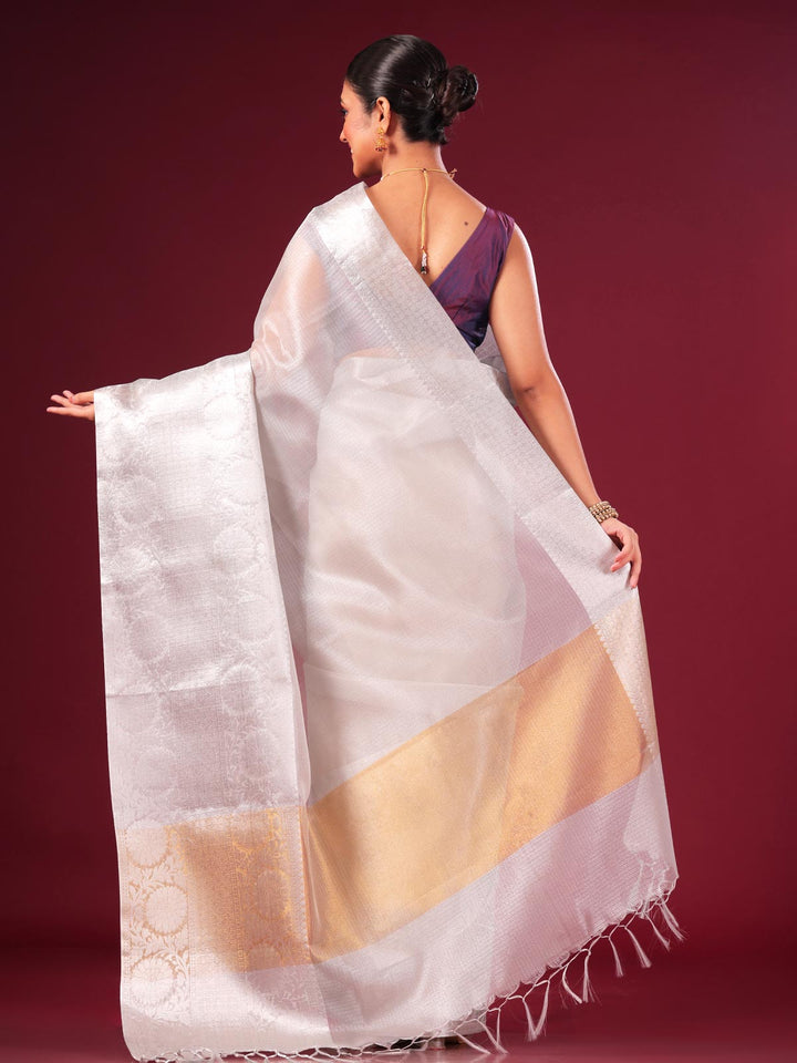 Silver Tissue Banarasi Saree - 0462 Saree AEVUM