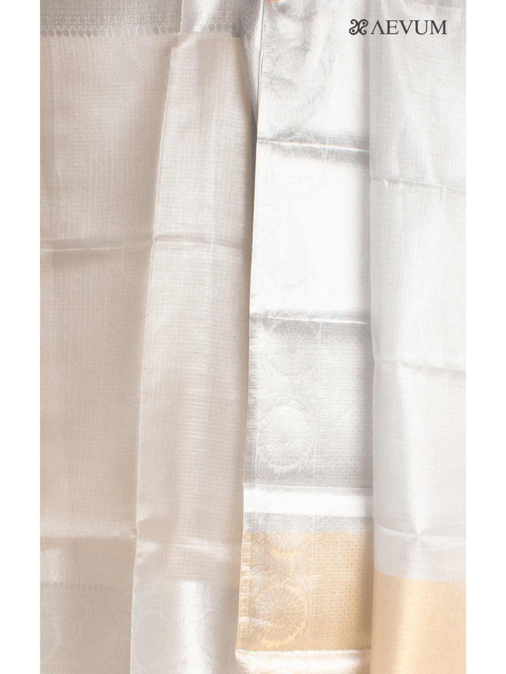 Silver Tissue Banarasi Saree - 0462 Saree Seratuzzama   