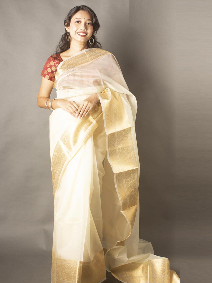 Semi Organza Banarasi Handloom Saree -11215 Saree Seratuzzama   