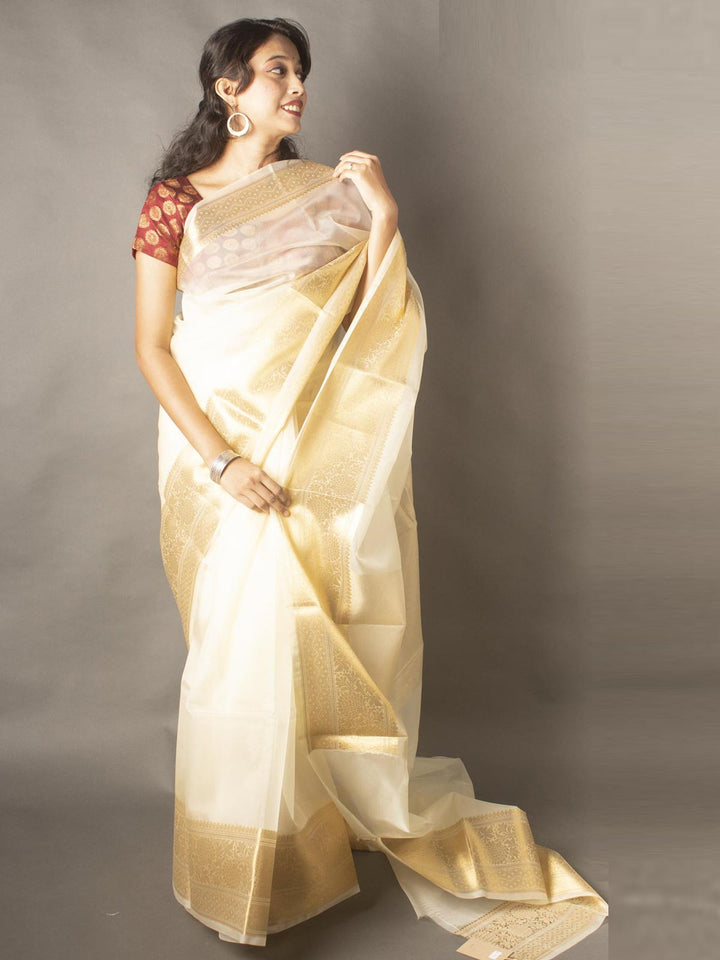 Semi Organza Banarasi Handloom Saree -11215 Saree Seratuzzama   