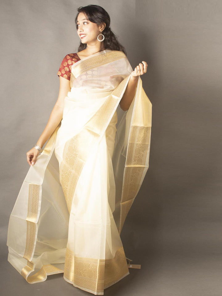 Semi Organza Banarasi Handloom Saree -11215 Saree Seratuzzama   