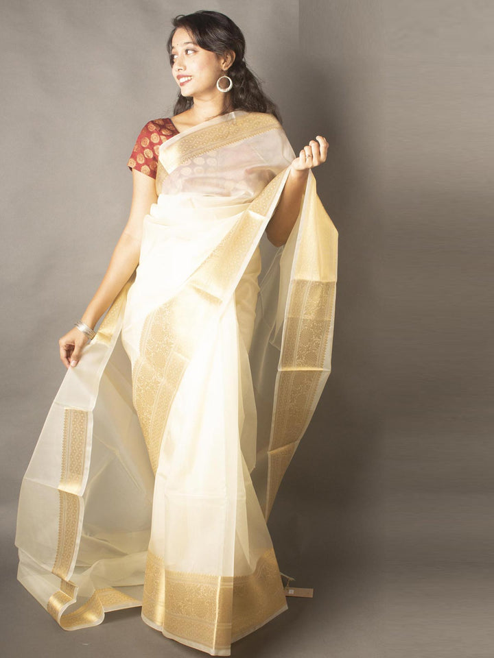 Semi Organza Banarasi Handloom Saree -11215 Saree Seratuzzama   