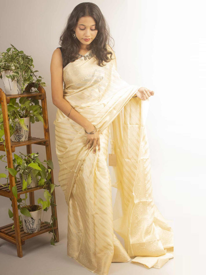 Organza Banarasi Handloom Saree by Aevum - 12209 Saree Seratuzzama   