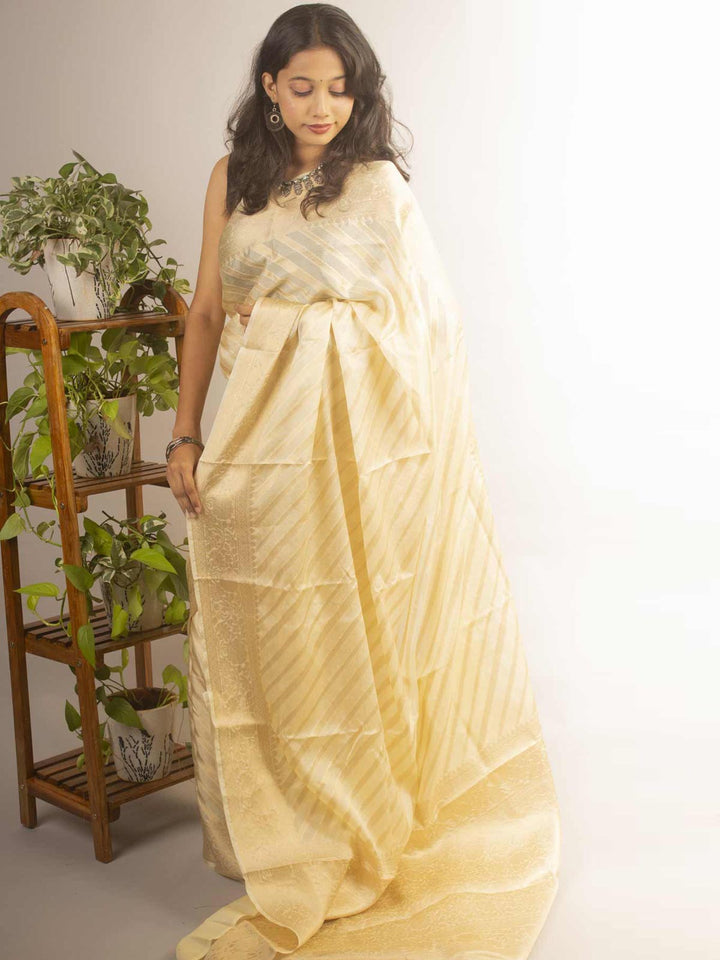 Organza Banarasi Handloom Saree by Aevum - 12209 Saree Seratuzzama   