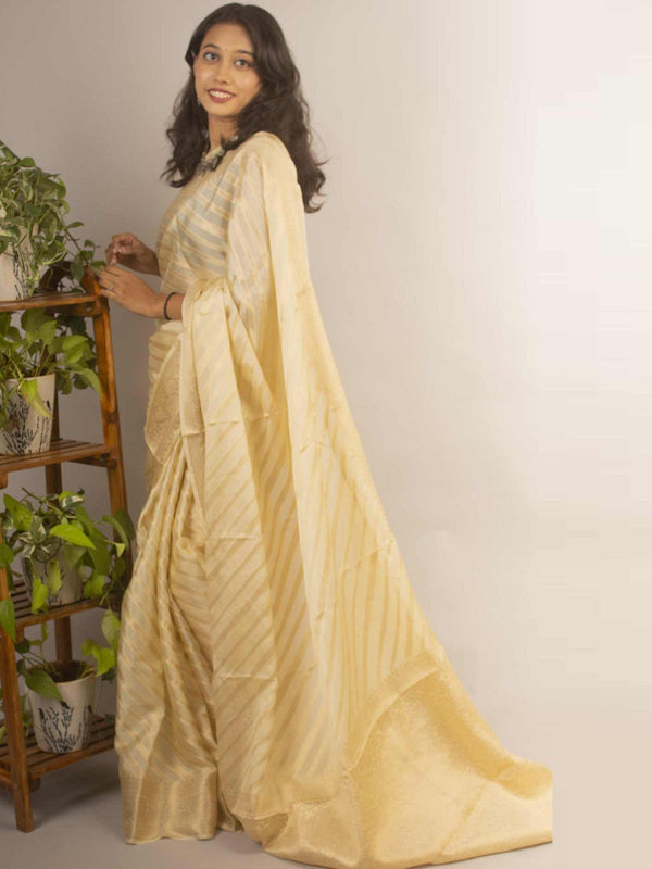 Organza Banarasi Handloom Saree by Aevum - 12209 Saree Seratuzzama   