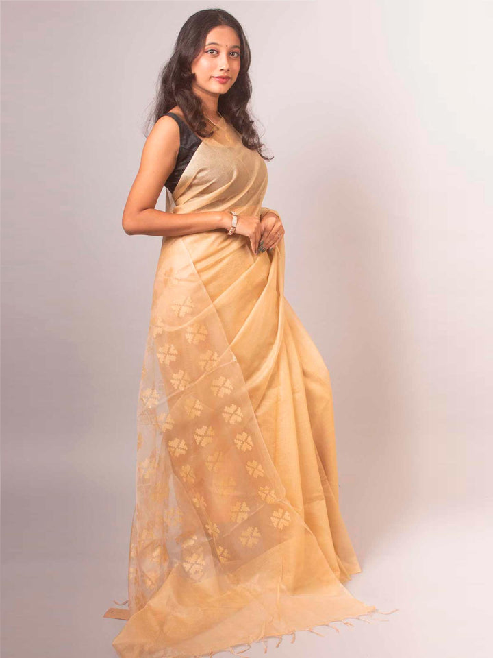 Katan Silk Saree with Blouse Piece - 14864 Saree AEVUM   