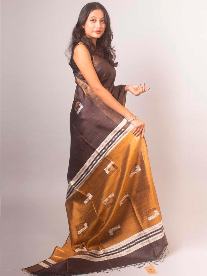 Pure Tussar Raw Silk Saree with Silk Mark - 14878 Saree AEVUM   