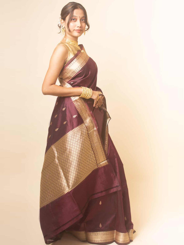 Kanjivaram Banarasi work Pure Silk Saree with Silk Mark - 17744 Saree AEVUM   