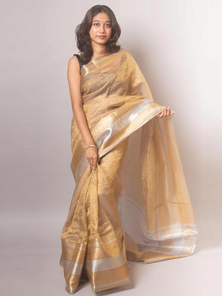 Crushed Tissue Banarasi Saree - 19366 Saree AEVUM   