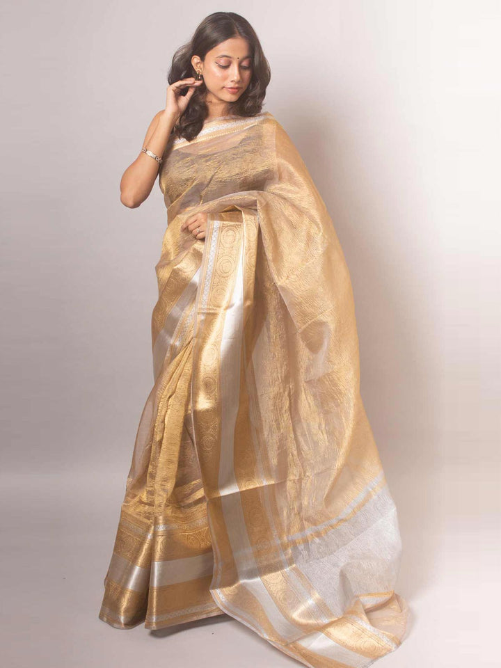 Crushed Tissue Banarasi Saree - 19366 Saree AEVUM   