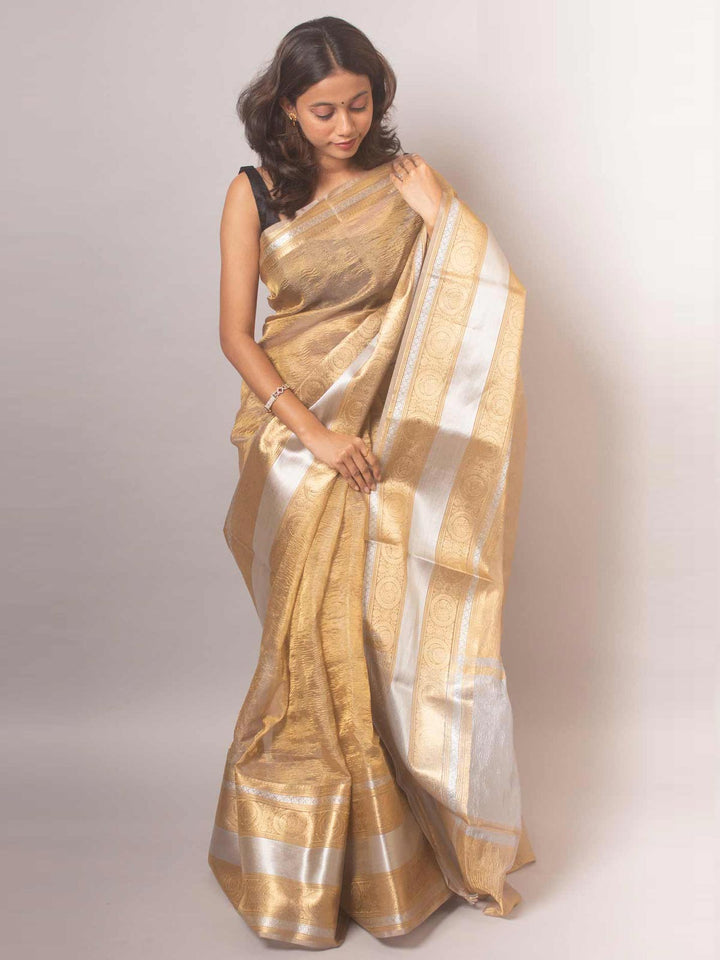 Crushed Tissue Banarasi Saree - 19366 Saree AEVUM   