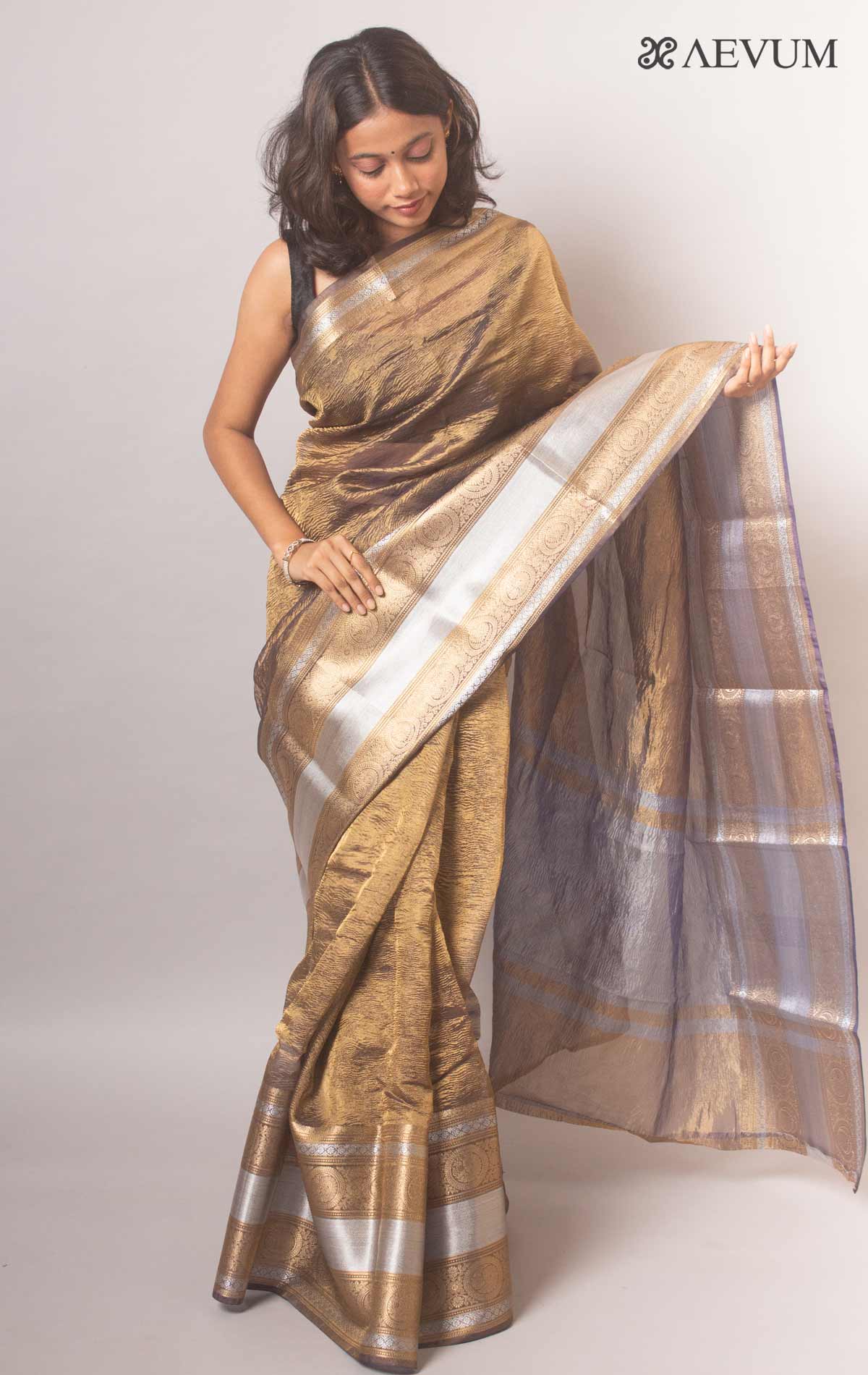 Multi-color Kanchipuram Tissue Silk Saree at Best Price in Kanchipuram |  K.p. Silks