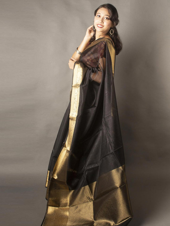 Semi Organza Banarasi Handloom Saree -20273 Saree Seratuzzama   