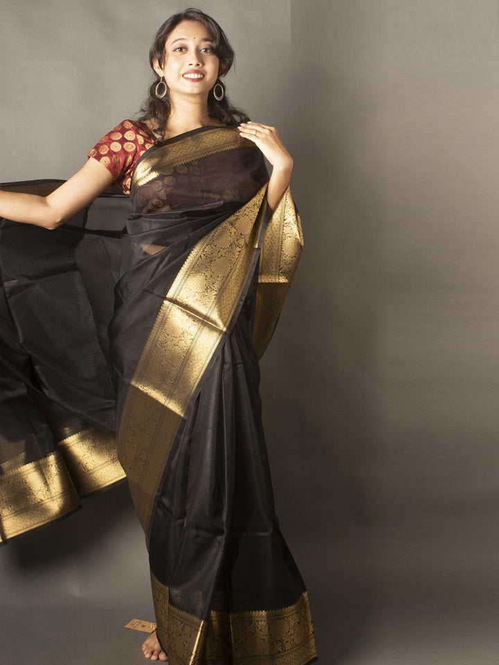 Semi Organza Banarasi Handloom Saree -20273 Saree Seratuzzama   