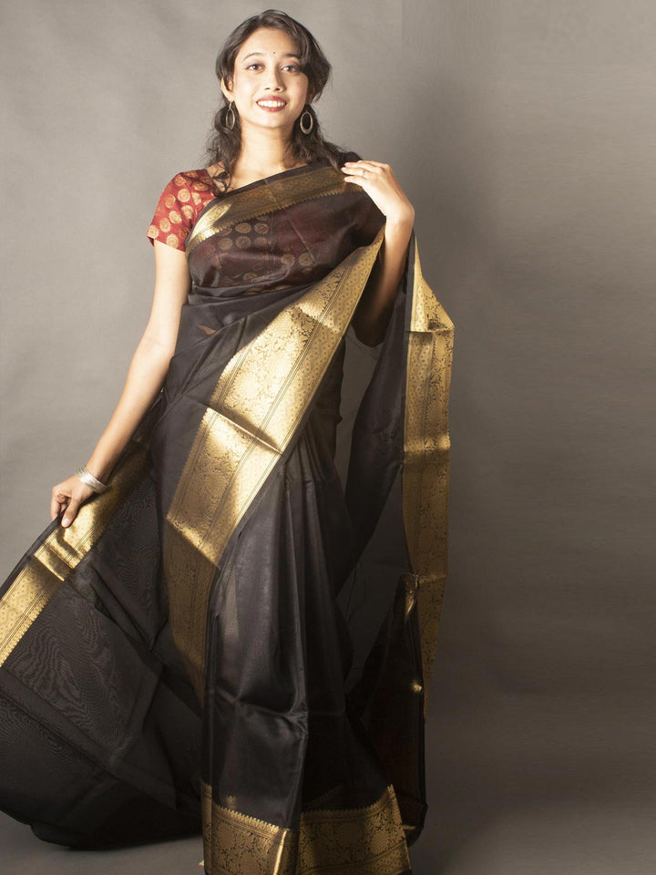 Semi Organza Banarasi Handloom Saree -20273 Saree Seratuzzama   