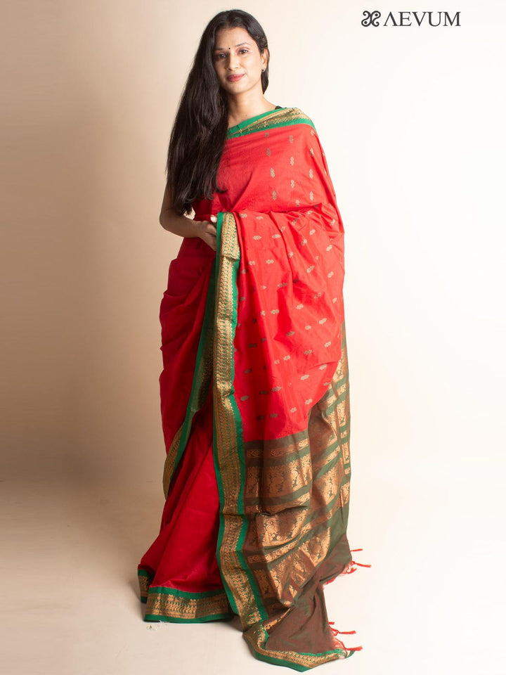 Kalyani South Cotton Silk Handloom Saree with Blouse Piece - 3539 Saree AEVUM