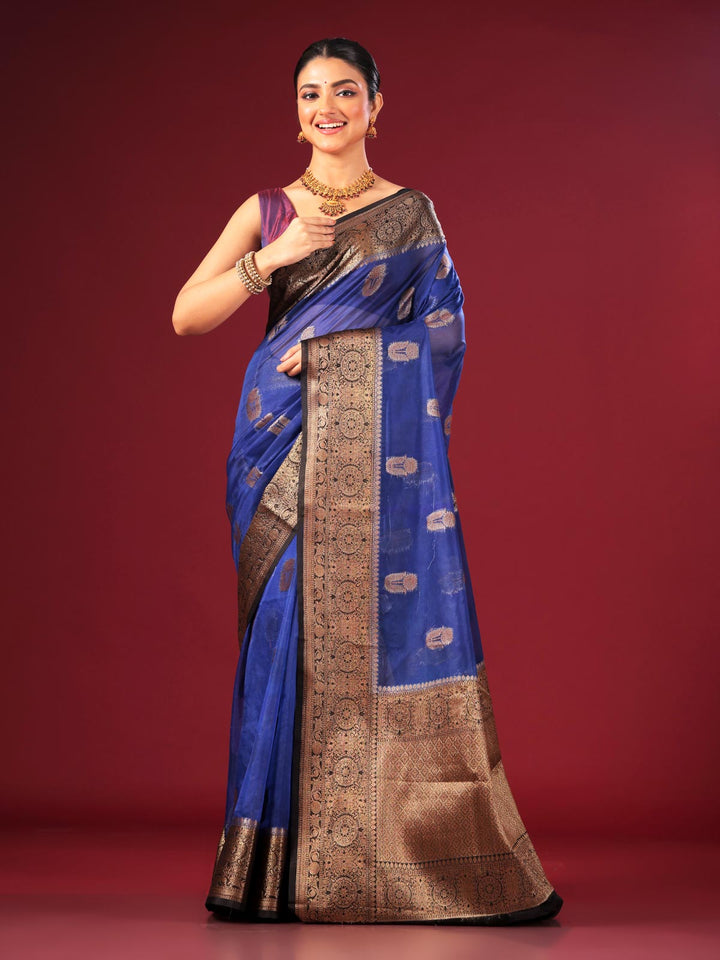 Organza Banarasi Handloom Saree - 4385 Saree AEVUM