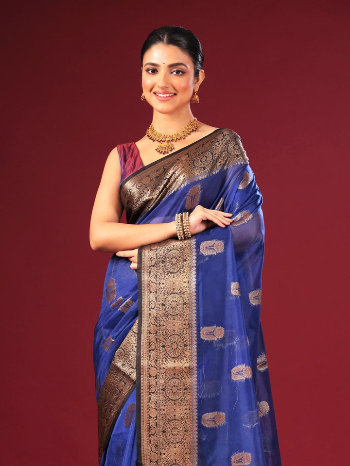 Organza Banarasi Handloom Saree - 4385 Saree AEVUM