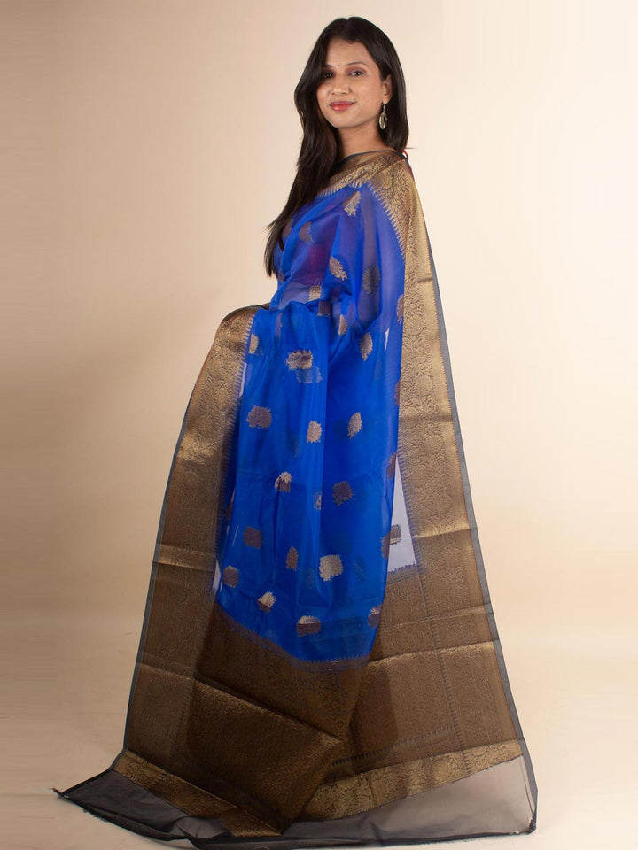 Organza Banarasi Handloom Saree - 4385 Saree AEVUM   