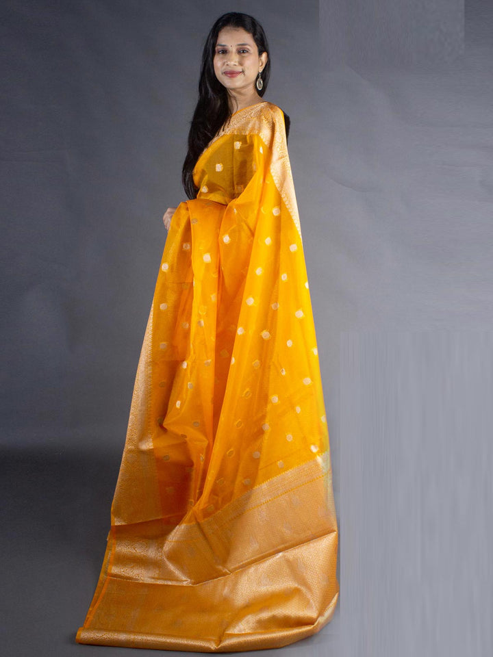 Organza Banarasi Handloom Saree - 8088 Saree Seratuzzama   