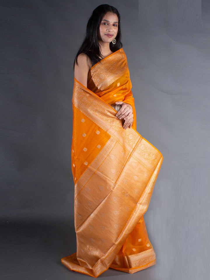 Organza Banarasi Handloom Saree - 8088 Saree Seratuzzama   