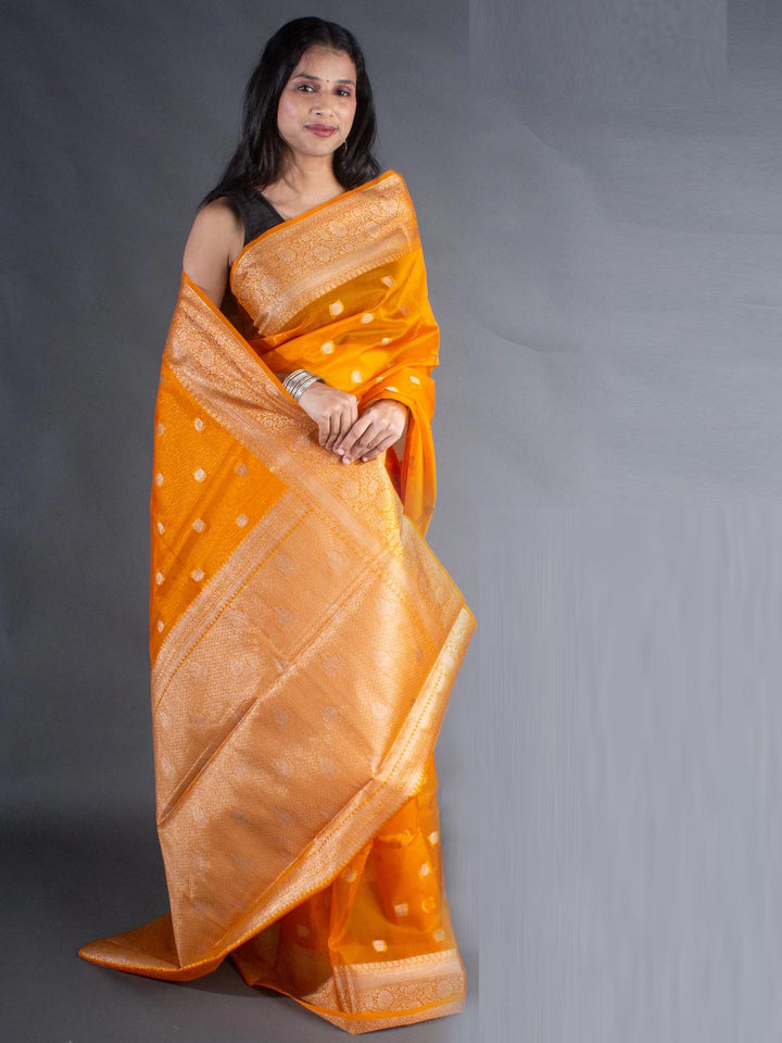 Organza Banarasi Handloom Saree - 8088 Saree Seratuzzama   