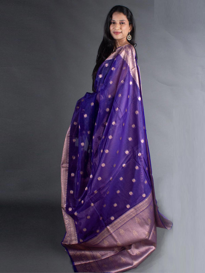 Organza Banarasi Handloom Saree - 8090 Saree Seratuzzama   