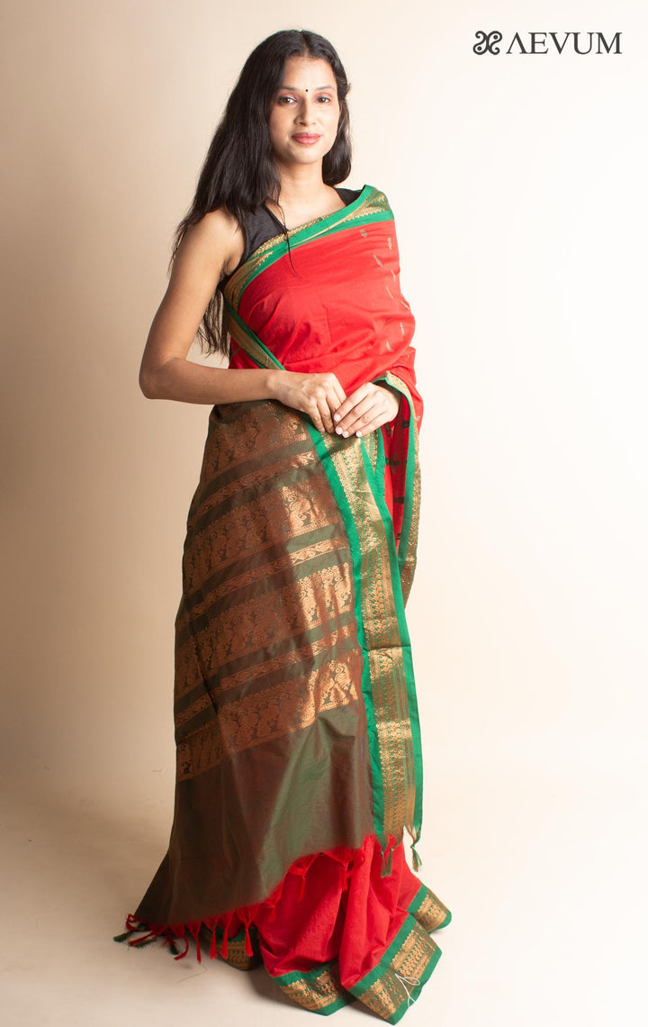 Kalyani South Cotton Silk Handloom Saree with Blouse Piece - 3539 Saree T Umarali   